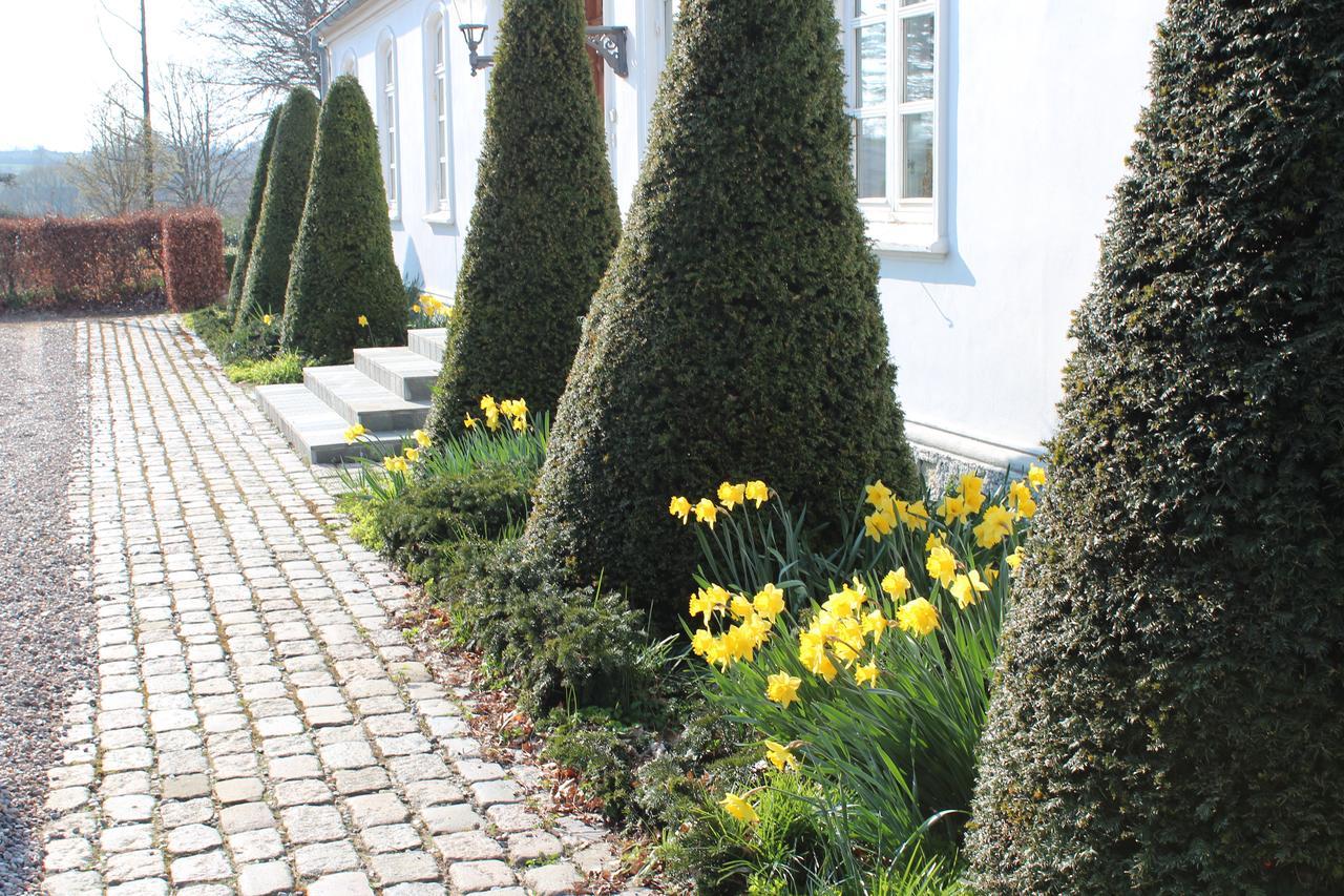 Louiselund Bed & Breakfast ハザスレウ エクステリア 写真